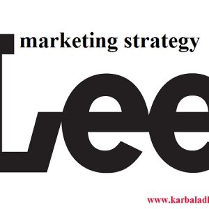 استراتژی های بازاریابی شرکت LEE